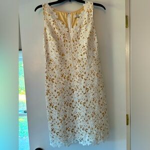LOFT size 2 lace cocktail dress, sleeveless, excellent condition